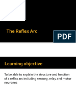 Reflex Arc VLE