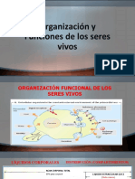 Organización y Funciones de Los Seres Vivos