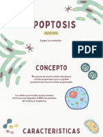Apoptosis Patología