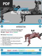 The Lifters Muscle Manual