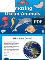 T TP 1649079549 ks1 Amazing Ocean Animals Information Powerpoint - Ver - 3