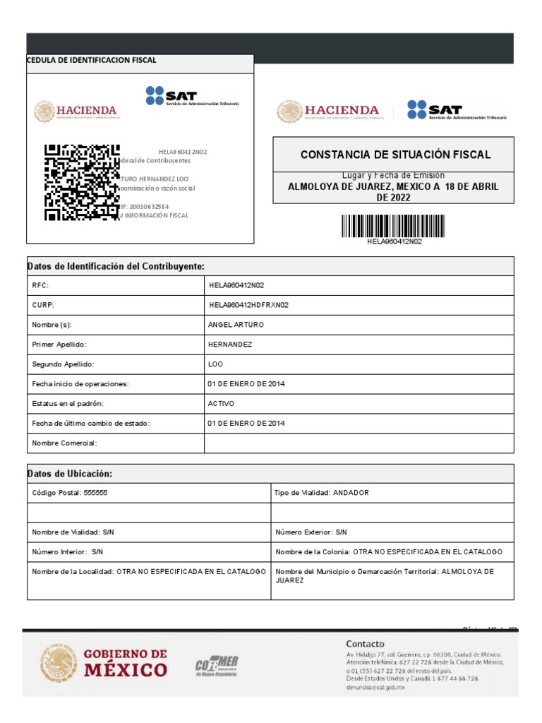 Ejemplo de RFC Actualizado | PDF | Gobierno