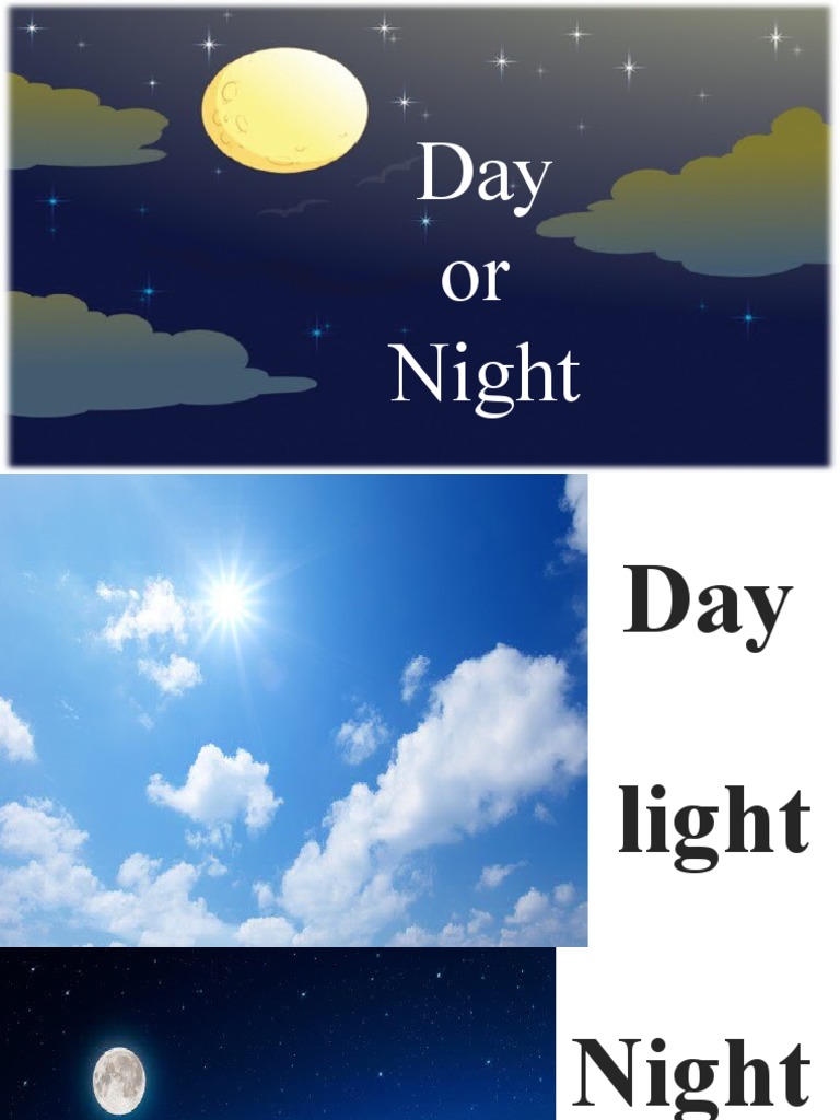 Day or Night Opposites | PDF