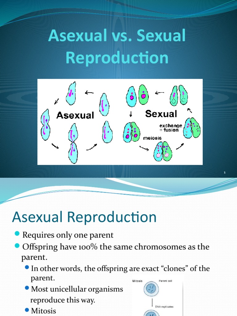 Asexual Vs Sexual Reproduction PowerPoint | PDF | Sexual Reproduction ...