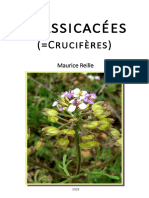 3BRASSICACEES_INTERNET_2018 Maurice reilles botanique