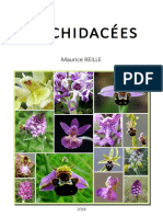 8ORCHIDEES - INTERNET - 2018 Maurice Reilles Botanique