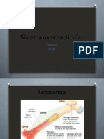 Sistema Osteo-Articular UCSF Nuevo