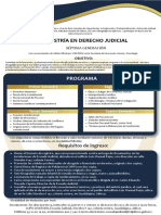 02 Maestria Derecho Judicial