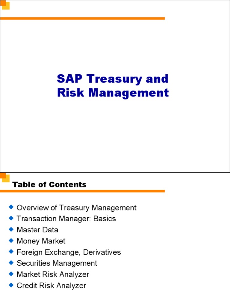 SAP Treasury Risk Management Overview | PDF | Option (Finance) | Yield ...