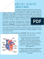 Anatomia Aparato Circulatorio