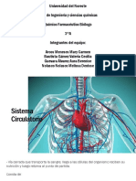 Sistema Circulatorio