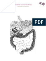 Meditar Con Mandalas - Intestino