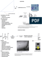 Farmaco y Toxico Oxidante