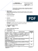 Informe Docente Colaborador