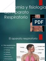 aparato_respiratorio pdf 