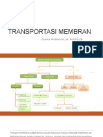 Transpor Membran