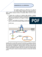La Resistencia A La Insulina