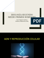 ADN y Reproducción Celular