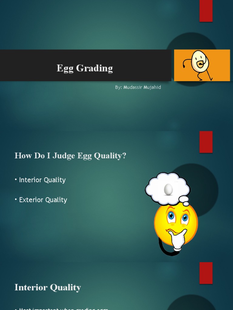 Egg Grading | PDF | Egg | Yolk