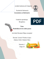 Metabolismo de Los Acidos Grasos - Sofia Kantun