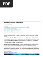 PDF Document