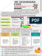 Gestión Seguridad Procesos RCD 203-2020