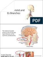 Group 1 Arteries and Veins of The Head and Neck Temporomandibular Joints