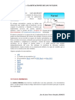 Clasificacion de Los Nucleos