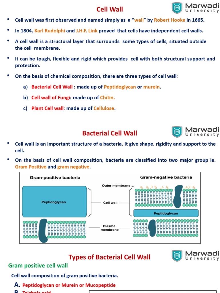 Unit1 Cell Wallpdf 2021 04 14 06 00 56 | Download Free PDF | Cell Wall ...