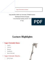 L - Upper Extremity (Bones and Muscles)