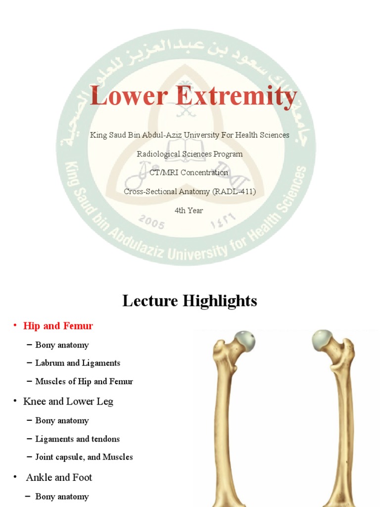 L Lower Extremity Bones And Joints Pdf Knee Human Leg