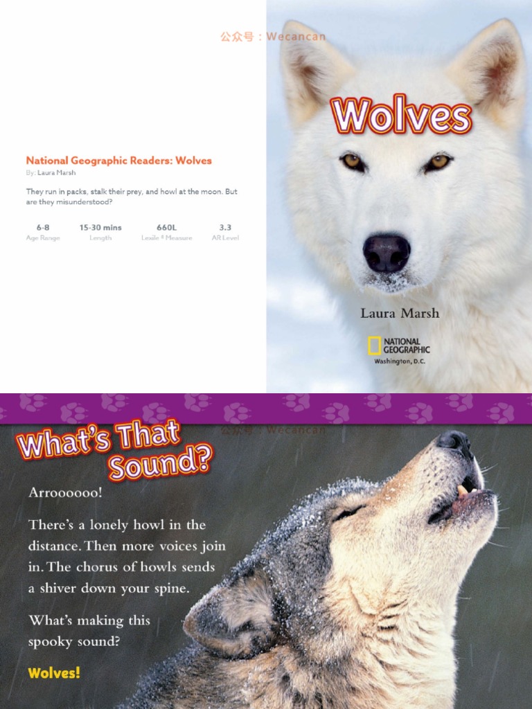 02 Wolves | PDF