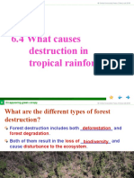 6.4 What Causes Destruction in Tropical Rainforests?