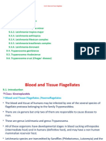 Unit 9.N. Blood and Tissue Flagellates