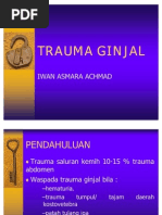 Download Trauma Ginjal by Nurbaiti Akip SN62315329 doc pdf
