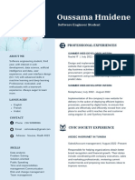 Blue White Color Blocks Software Engineer CV