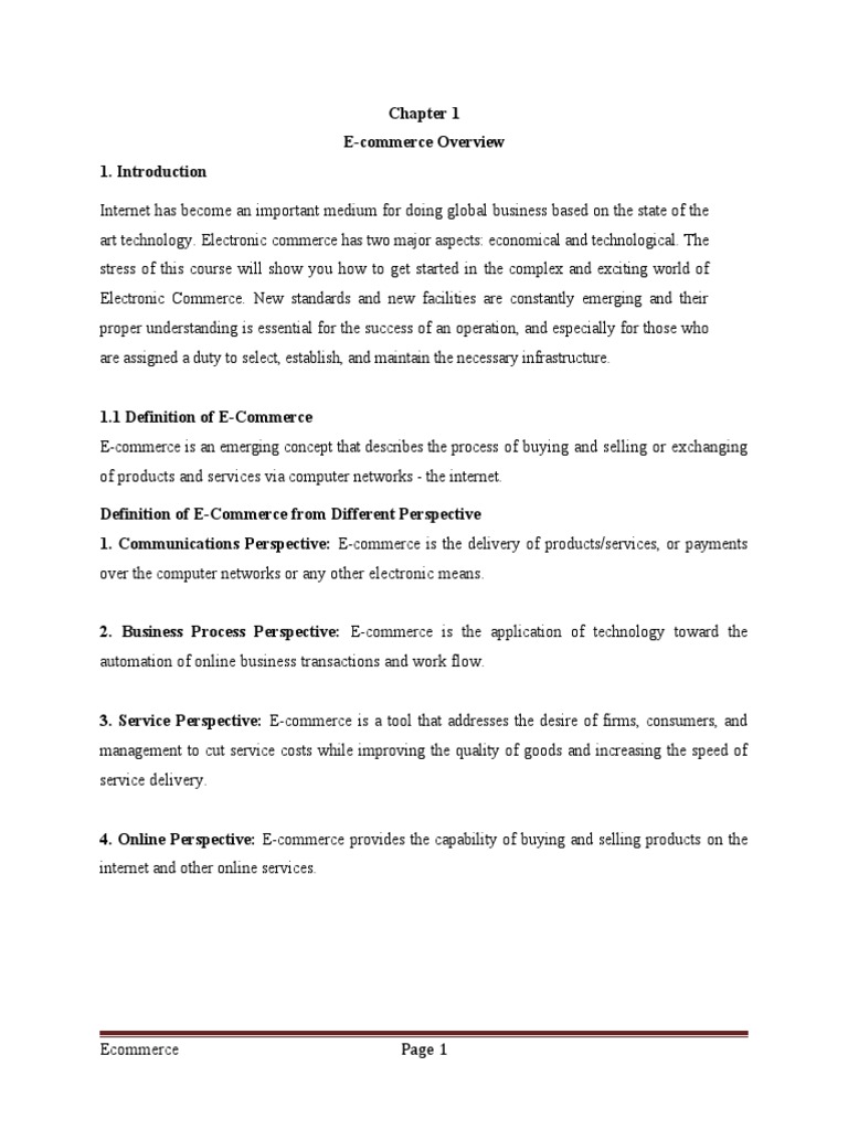 Chapter 1 PDF E Commerce Online Shopping