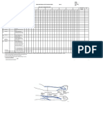 Form Monitoring Cateter IV Perifer