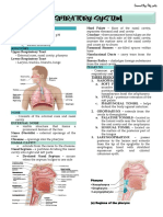 Respiratory System