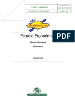 Estudio Ergonómico - Carga Liviana