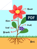 Parts of A Plant Puzzle