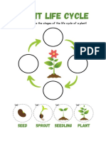 Life Cycle of A Plant Cut and Paste Worksheet