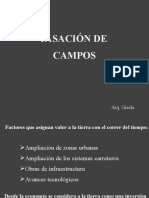 2 Campos Particularidades Del Campo Definiciones