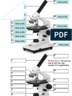 Part of Microscope and Its Funtions