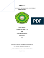 082 - Ni Putu Dian Wela Kusuma - Tugas Praktikum Pertemuan 5 Dan 6 - IVB