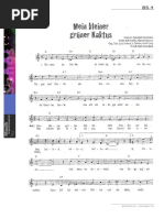 Mein Kleiner Grner Kaktus | PDF