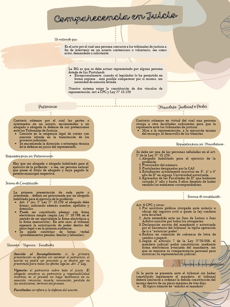 Comparecencia en Juicio | PDF | Ley Pública | Gobierno