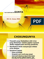 chikungunya-111218172157-phpapp01