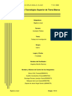 Trabajo Final-Álgrebra Lineal