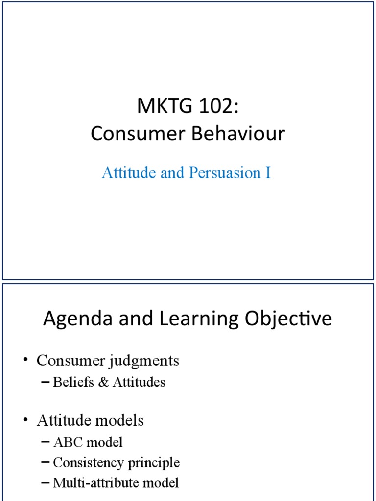 Consumer Attitudes and Behavior Insights | PDF | Attitude (Psychology ...
